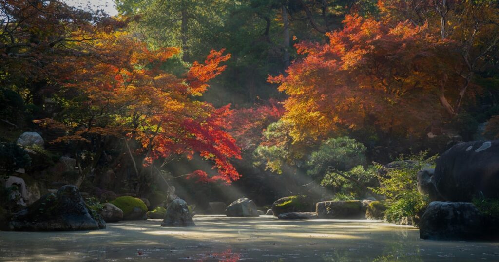 秋の紅葉が水面に映える日本庭園・群馬県徳明園