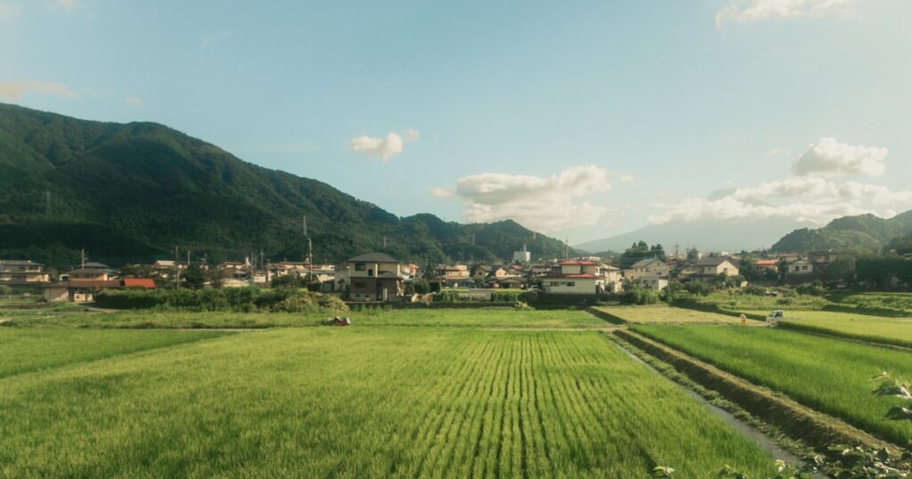 緑の草原が広がる日本の田園風景
