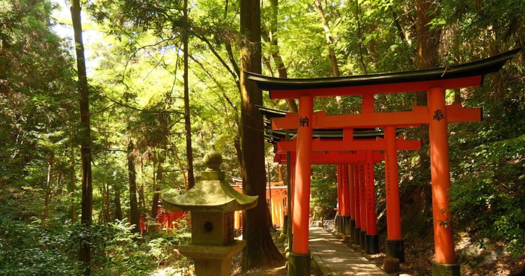 参道に続く赤い鳥居と緑の森