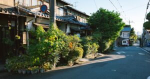 緑豊かな木々が並ぶ静かな日本の住宅街の風景