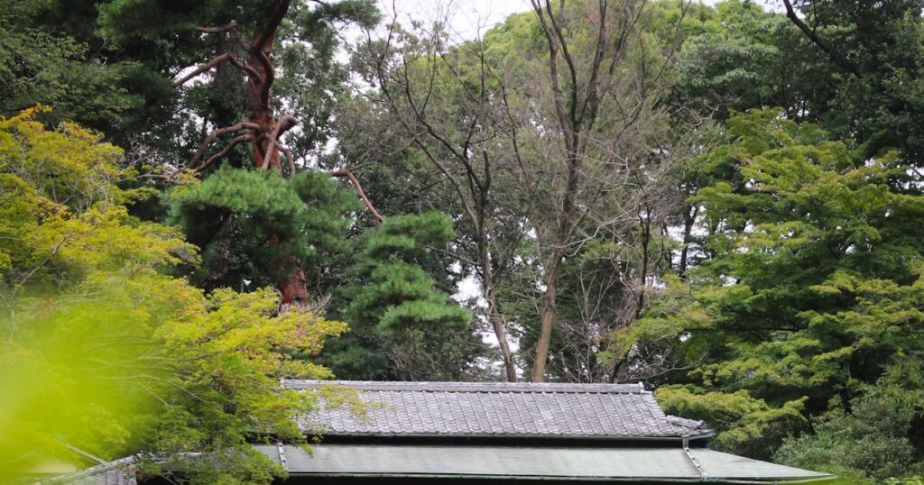 緑の庭園に囲まれた日本の家
