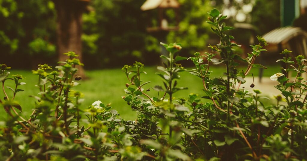 庭の花木・チルトシフトの緑の植栽