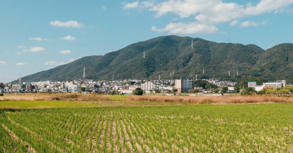 山を背景に広がる日本の田園風景