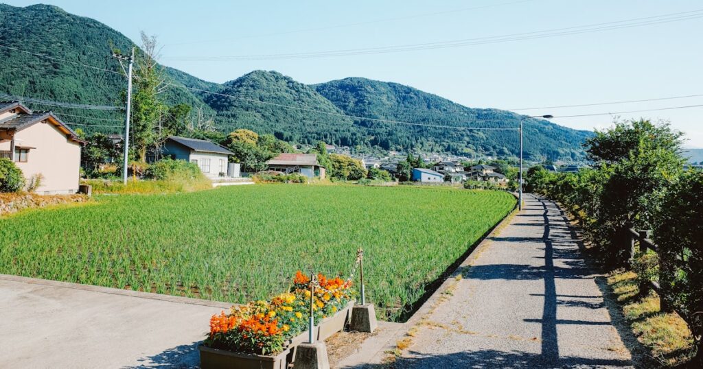 山を背景に田園風景に佇む日本の農家集落