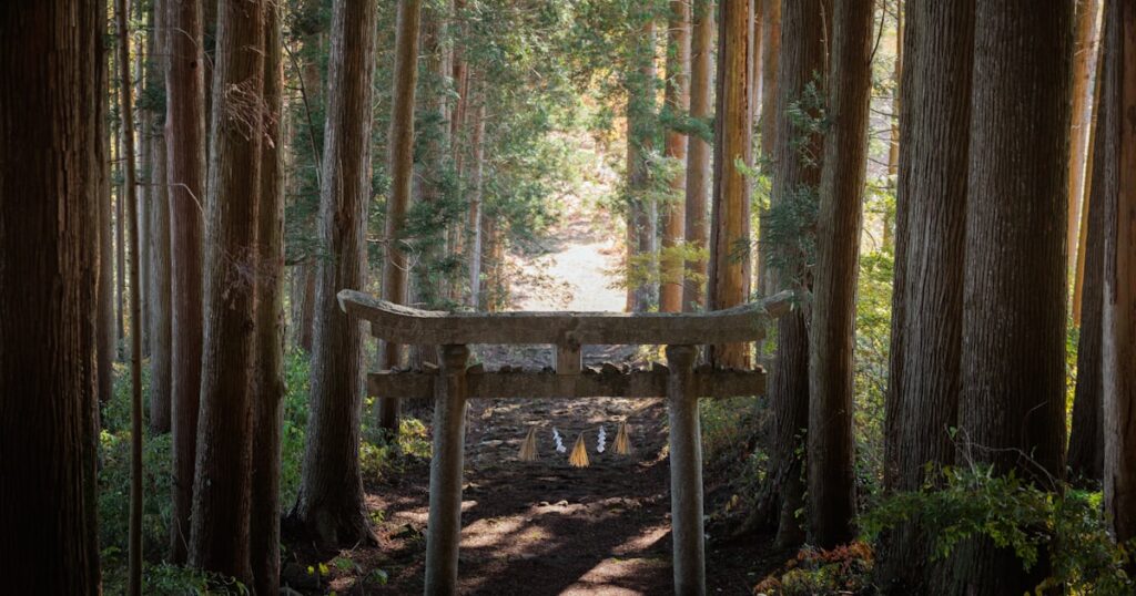 深い森の中に置かれた木製のベンチ