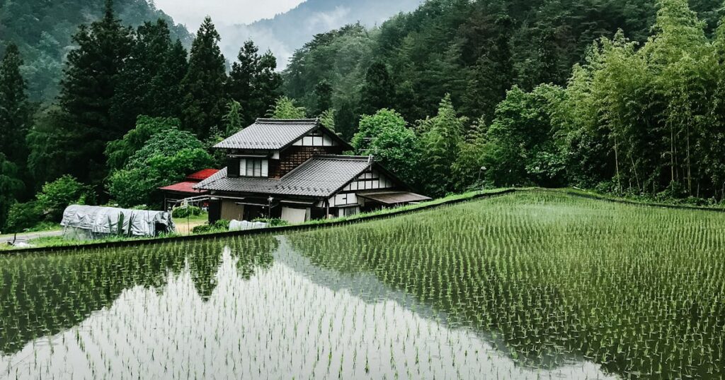水辺に佇む日本の農村の民家