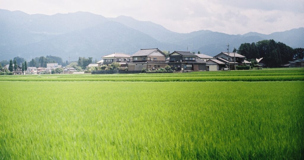 千葉県横芝光町の田園風景と遠くに見える山々