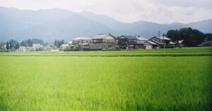 千葉県横芝光町の田園風景と遠くに見える山々